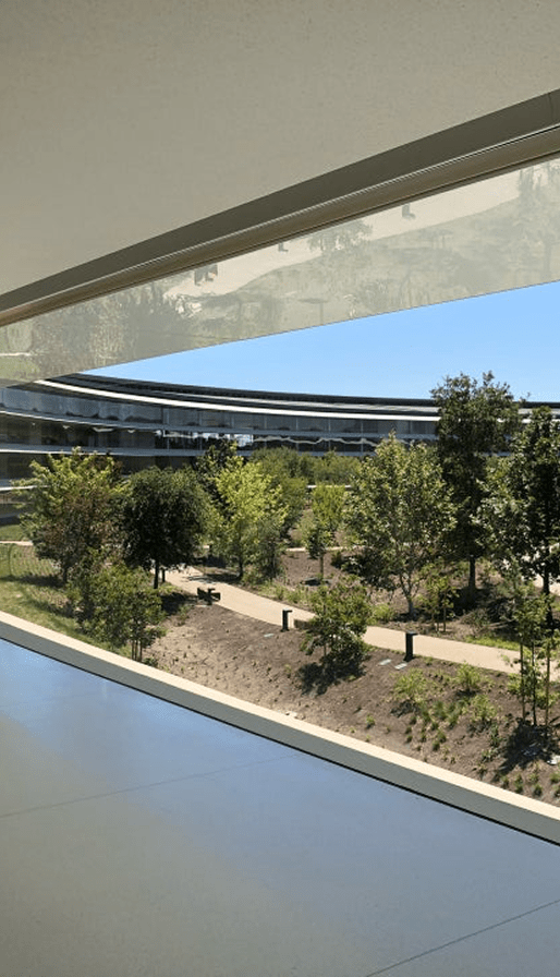 apple campus